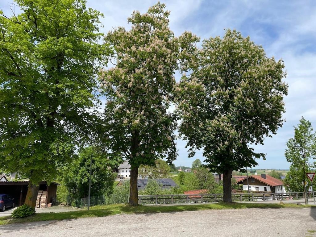 Ferienwohnung Meridiana Tuntenhausen Kültér fotó